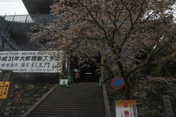 20150411朝の奈良・吉野山SD1-23.jpg