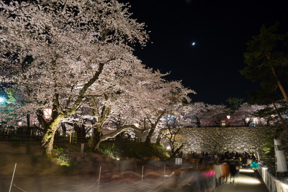 20150423夜の弘前公園A7R-38.jpg