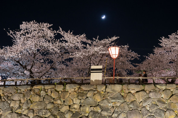 20150423夜の弘前公園A7R-40.jpg