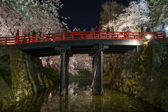 20150423夜の弘前公園A7R-64.jpg
