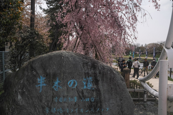 201504昼の京都・半木の道SD1-1.jpg