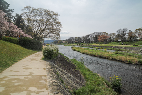 201504昼の京都・半木の道SD1-9.jpg