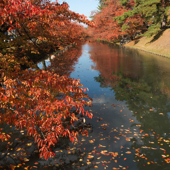 20151101午前の弘前公園CFV50-4.jpg