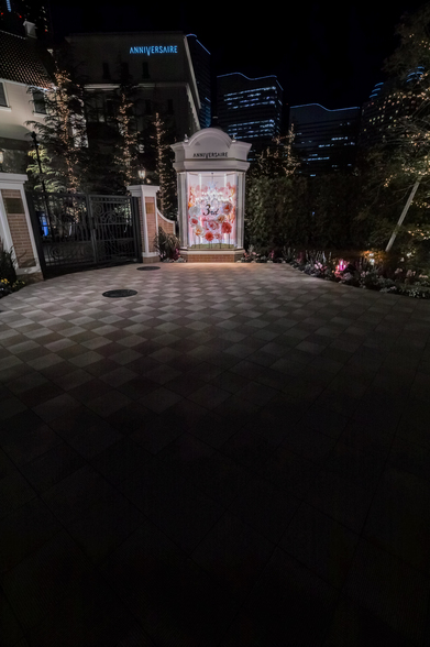 20170222夜の横浜・みなとみらいsd1QH-9.jpg